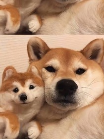 重生之做个好男友