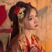 貴妃他又狂又拽