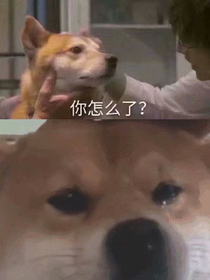 奈白没了？