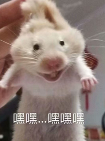 青遥记