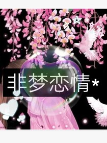 非梦恋情
