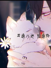 四通八达：只通你
