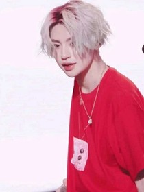 王琳凯：独角兽之恋