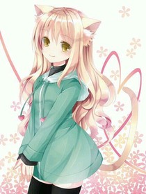 我的闺蜜是猫妖