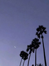 是否爱过