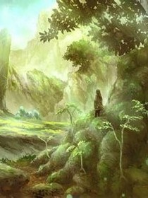 悬崖边上的秋千