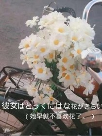 记忆中年少的你