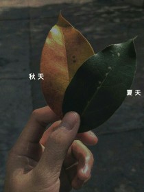 小故事全集