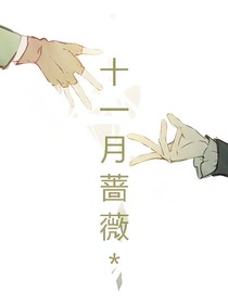 十一月蔷薇
