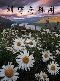 靖宇与林闻