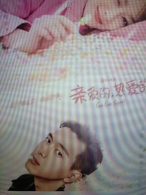 續(xù)集親愛(ài)的熱愛(ài)的（二）