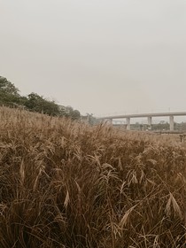 群狼传