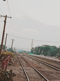 年少需你