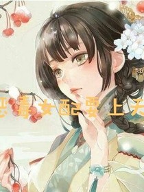 恶毒女配要上天