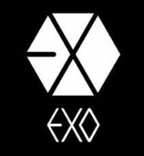 EXO：我的十二大股东