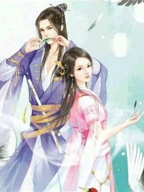 皇上的小将军