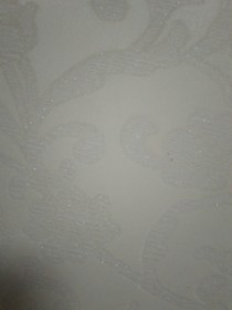 總裁的小小寵妻2