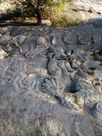 惊奇梦境