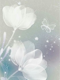 鉆戒在手，高人我有