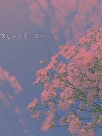 校园大佬的小娇妻
