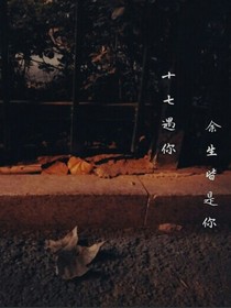 十七遇你，余生皆是你
