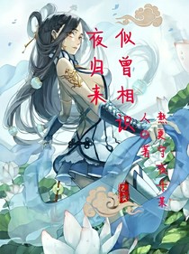 似曾相识夜归来