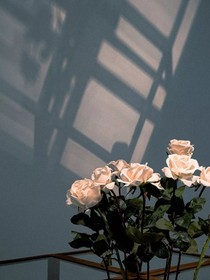 待到樱花烂漫时，她在丛中笑