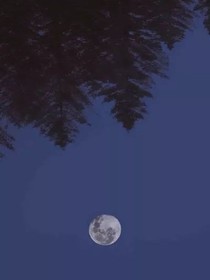 我們?nèi)晕粗滥翘斓谋茄獜哪膩?lái)