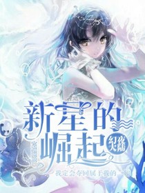 幻夜大陆——新星的崛起