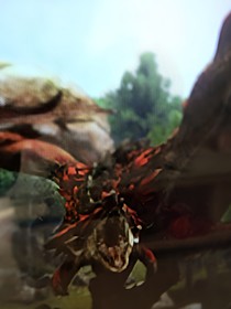 龙人重诀