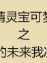 精灵宝可梦之我的未来我决定