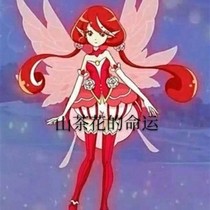 山茶花的命运