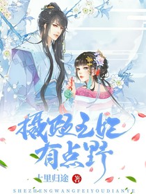 攝政王妃：路子野