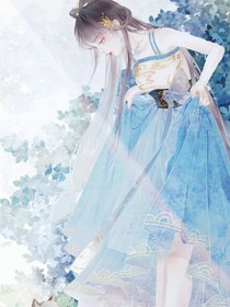 醫(yī)妃鳳華