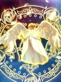 星學(xué)院：薔薇之名