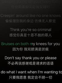 夜来忽梦又还乡