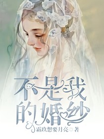 不是我的婚纱