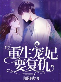 重生宠妃要复仇