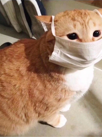 最强魔帝大人