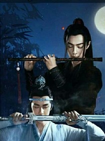忘機(jī)……魏無線