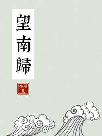 望南归