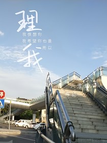 理我
