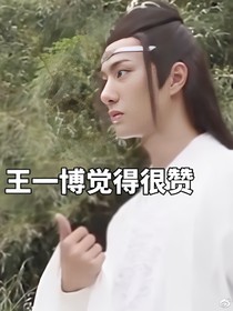 老苏追夫记……（王一博）