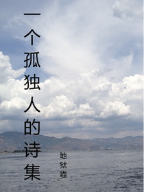 一个孤独人的诗集