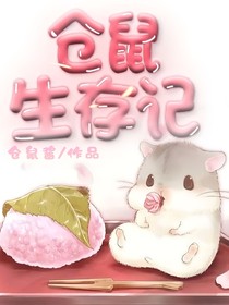仓鼠生存记