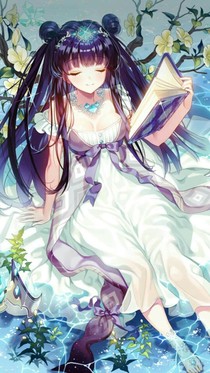 穿越小花仙之神秘精灵王