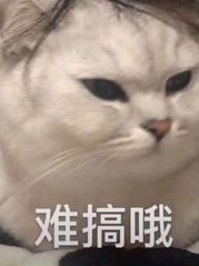 快穿：系统太会撩
