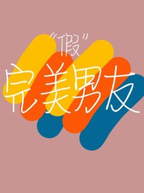 假完美男友