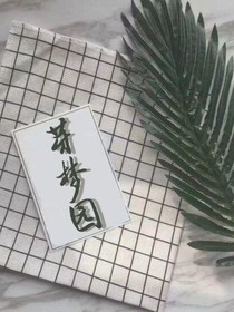 夏樱的小说（合集）-d676