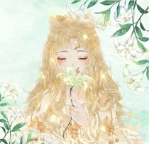那年百合正盛开